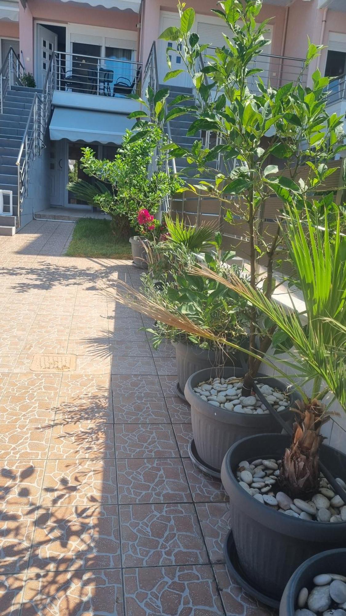 Ionian Dream Home فراخوس المظهر الخارجي الصورة